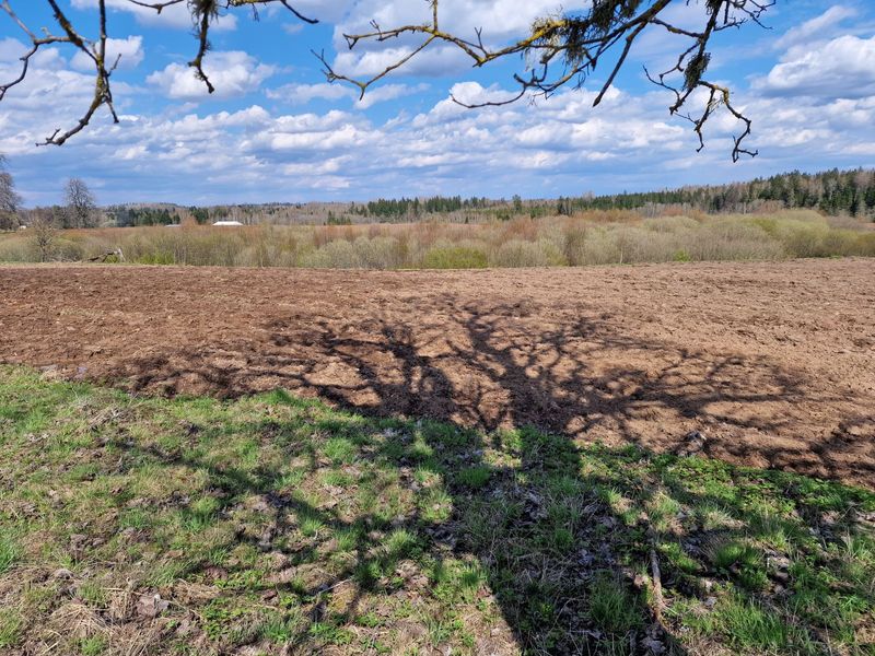 Vidzeme Highlands near Zaube