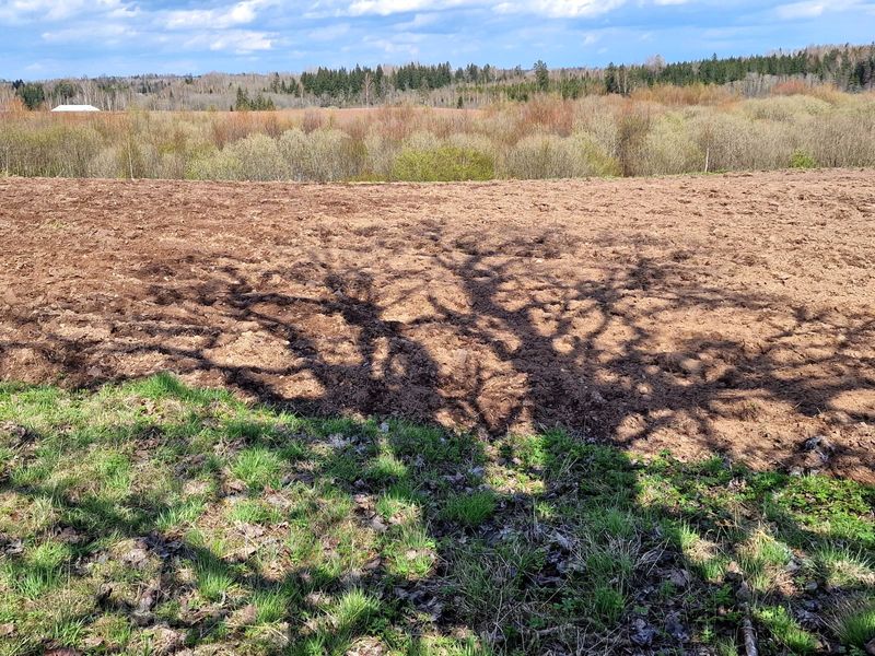 Vidzeme Highlands near Zaube