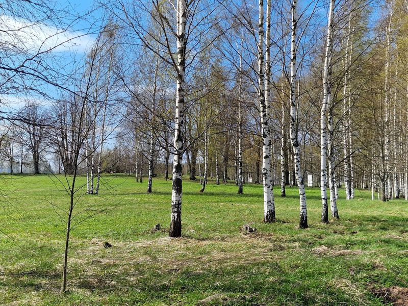 Vidzeme Highlands near Zaube