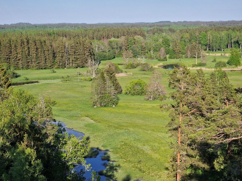 Ziemelgauja