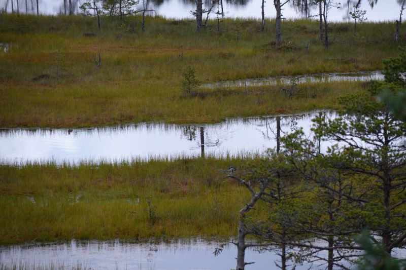 Viru raba in Lahemaa