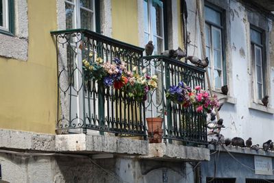 Alfama