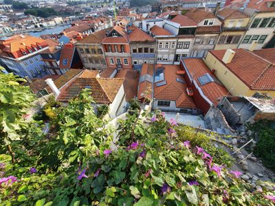 Porto Downtown