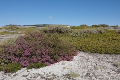 Serra da Estrela