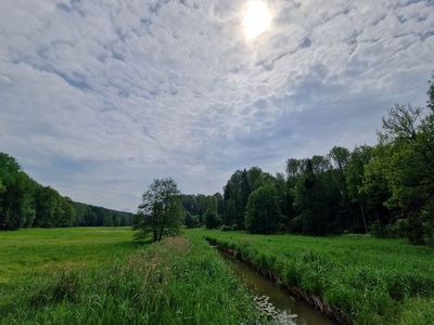 Ziemelsuseja river in Abeli forests near Jekabpils