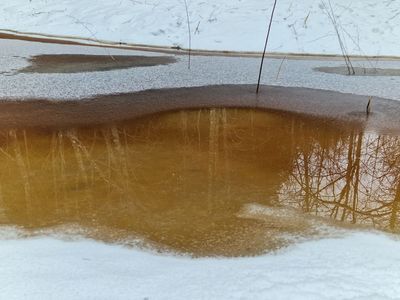 Lencupe, tributary of Gauja