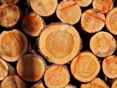 Tree rings
