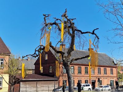 Kandava
