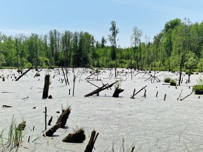 Pond near Kalna kapi in Eglaines pagasts, Selija