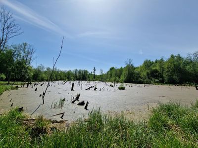 Pond near Kalna kapi in Eglaines pagasts, Selija