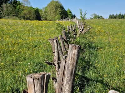 Rural entropy