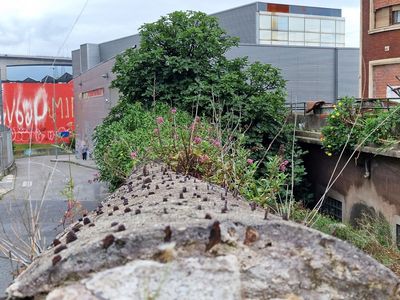 Rough & Rusty Bilbao