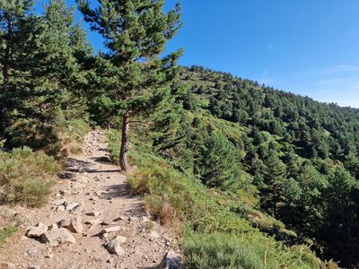 Pico de Penalara