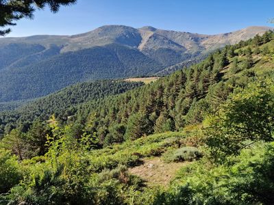 Pico de Penalara