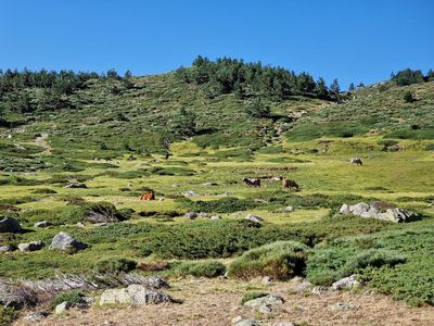 Pico de Penalara