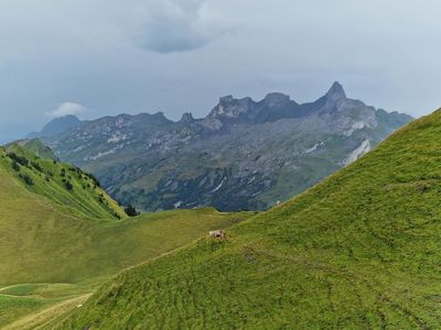 Stoos Mountain Trail