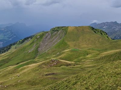 Stoos Mountain Trail
