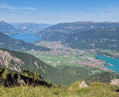 Schynige Platte