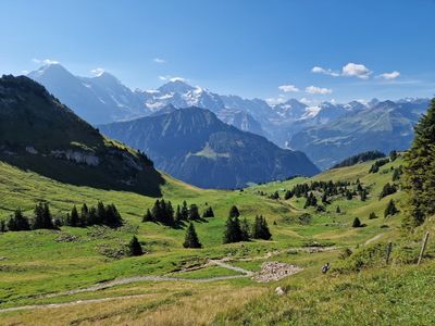 Schynige Platte