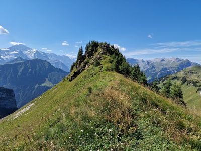 Schynige Platte