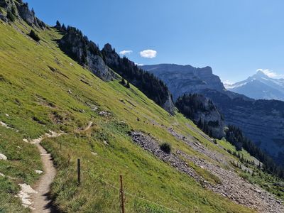 Schynige Platte