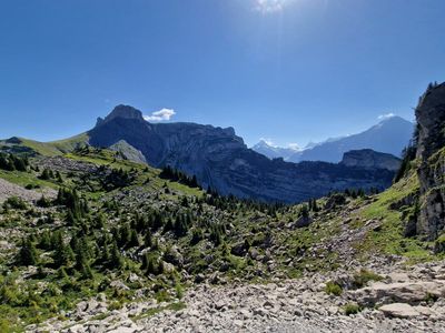 Schynige Platte