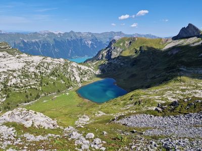 Schynige Platte