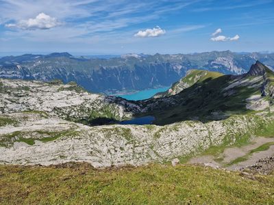 Schynige Platte