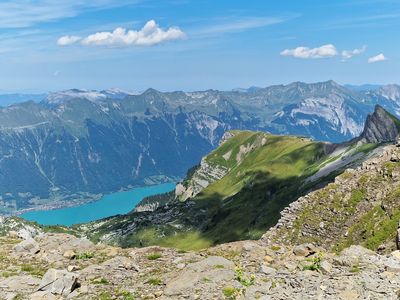 Schynige Platte