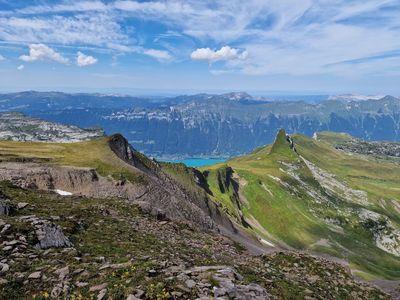 Schynige Platte