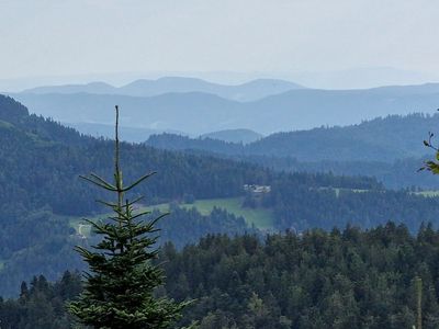 Schwartzwald