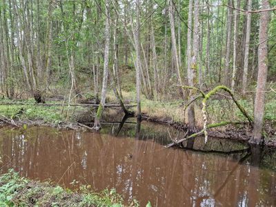 Nature of Latvia 2023