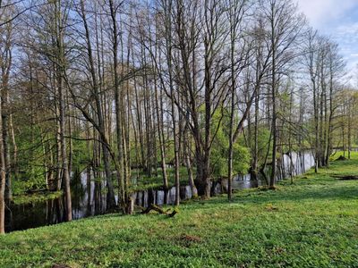Vitrupe at Blome