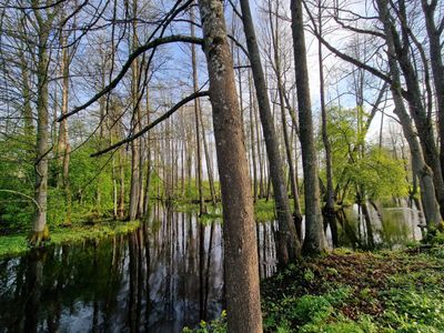 Vitrupe at Blome