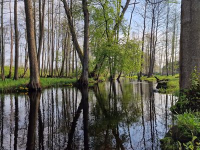 Vitrupe at Blome