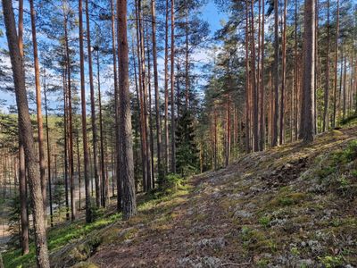 Ziemelgauja