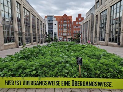 Kiel