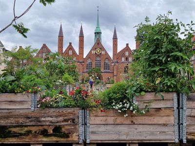 Kiel