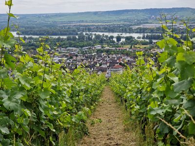Rudesheim am Rhein 