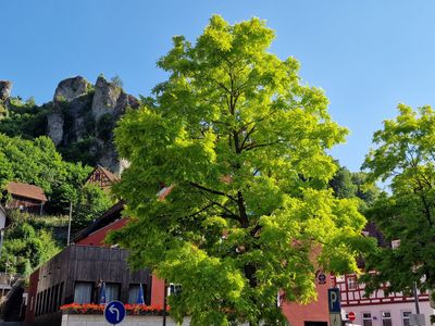 Pottenstein