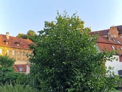 Bamberg