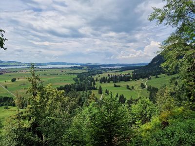 Neuschwanstein