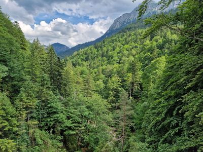 Neuschwanstein