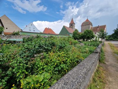 Ornbau