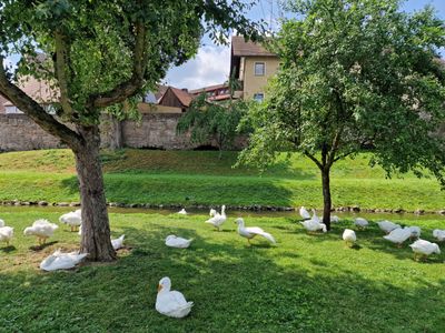 Wolframs-Eschenbach