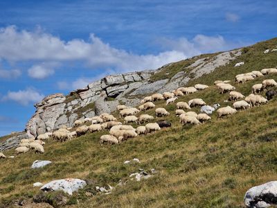 Bucegi National Park