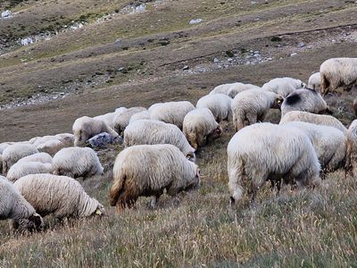Bucegi National Park