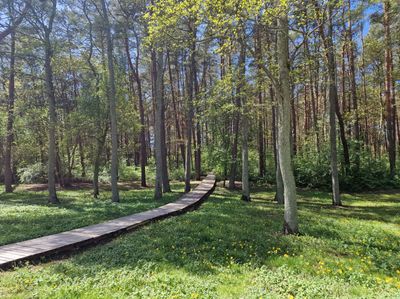 Palanga in May, 2025