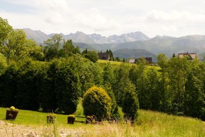 Zakopane