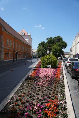 Budapest parks and flowers 